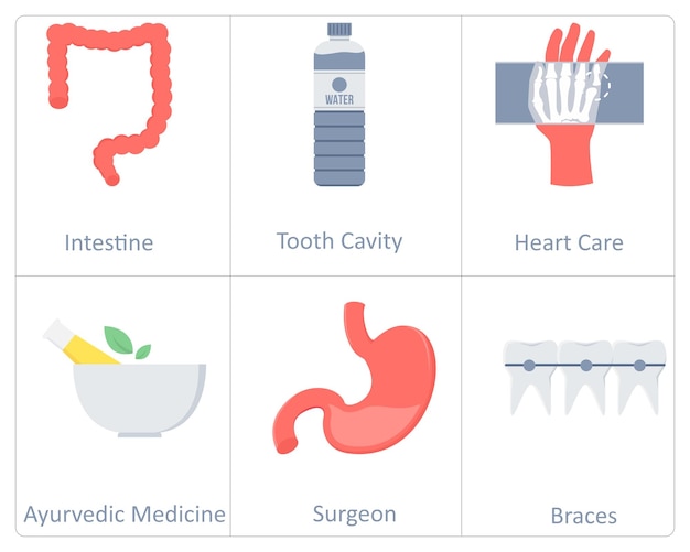 Un conjunto de 6 iconos médicos como medicina ayurvédica estómago