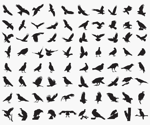 Vector conjunto de 80 siluetas de pájaros.