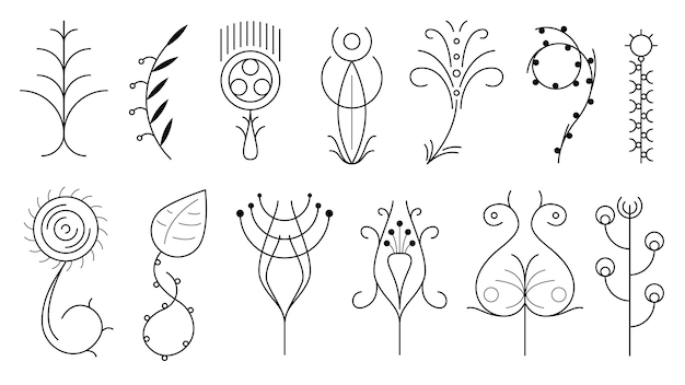 Conjunto abstracto elementos de garabato colección dibujada a mano botánico herbario flora hoja rama vid flor plan