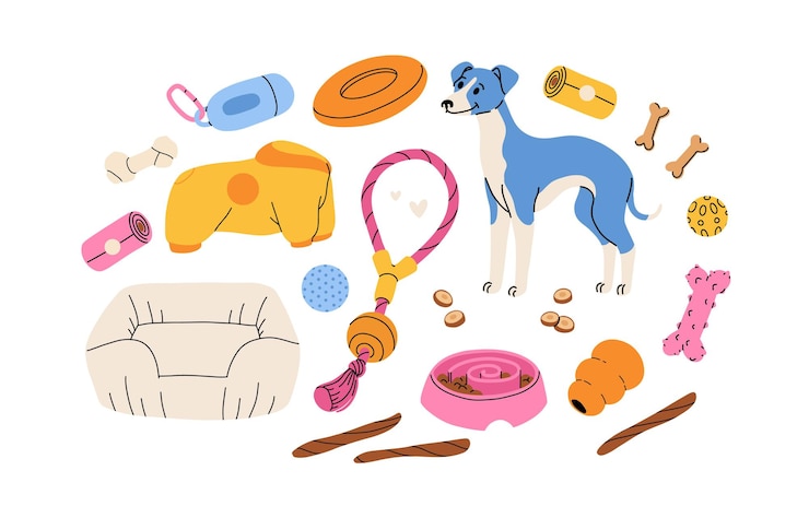 Vector conjunto de accesorios y juguetes para perros para tiendas de cachorros productos alimenticios y de cuidado veterinario ropa y camas para perros ilustración vectorial aislada sobre fondo blanco