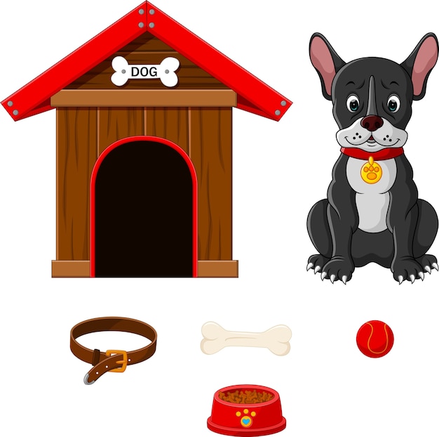 conjunto de accesorios para perros