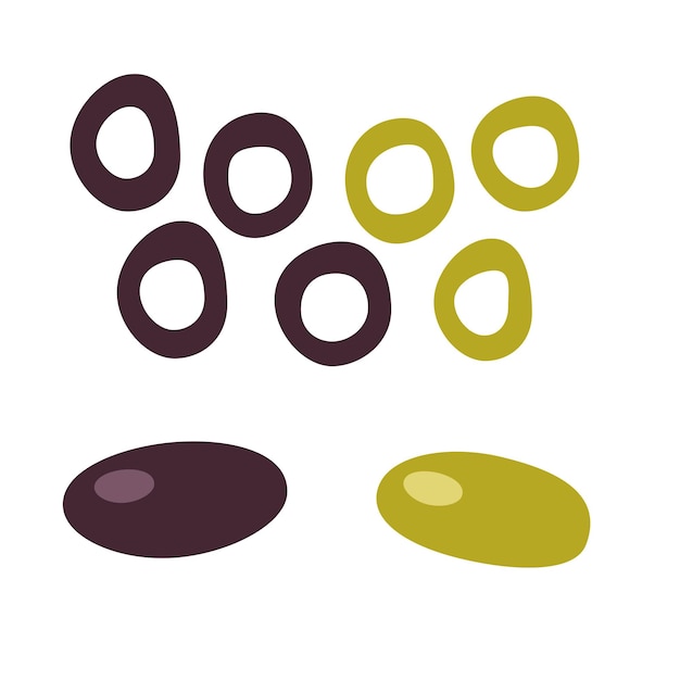 Conjunto de aceitunas negras y verdes Ilustración vectorial para patrones de diseño Coronas de aceituna web
