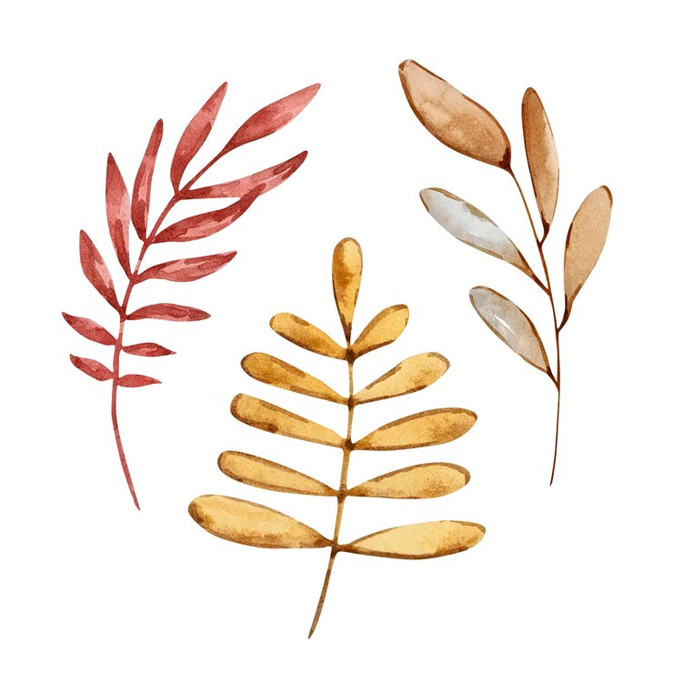 Vector conjunto de acuarela de acogedores elementos lindos de otoño