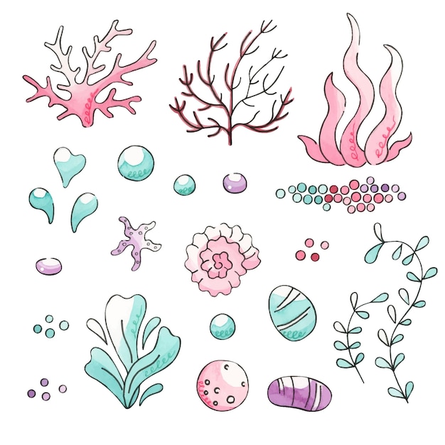 Conjunto de acuarela algas y corales aislados en blanco
