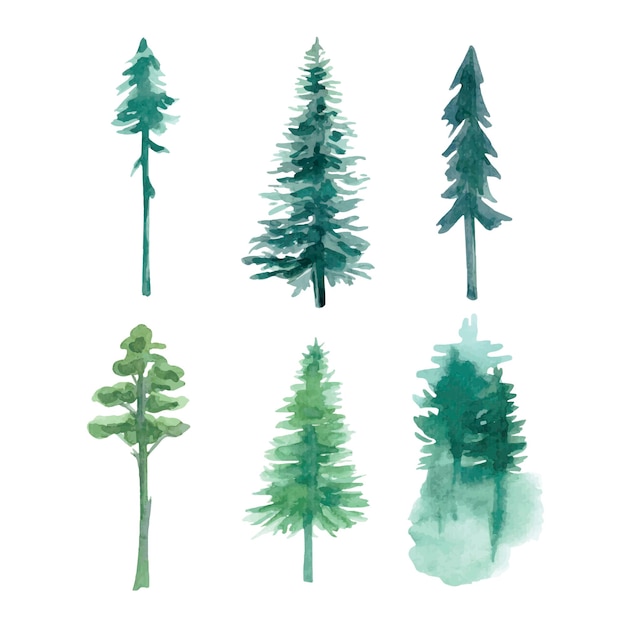 Vector conjunto de acuarela de árboles forestales árbol dibujado a mano verde ilustración vectorial