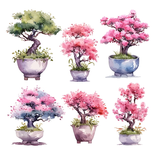 Conjunto de acuarela bonsai flores clipart fondo blanco