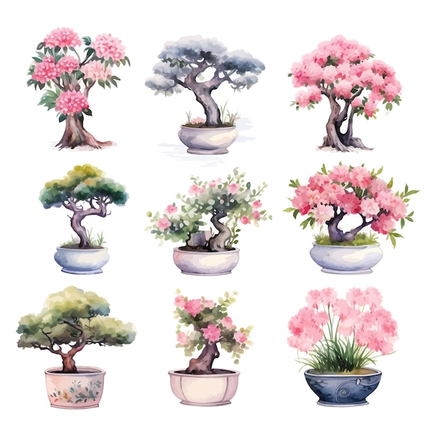 Vector conjunto de acuarela bonsai flores clipart fondo blanco