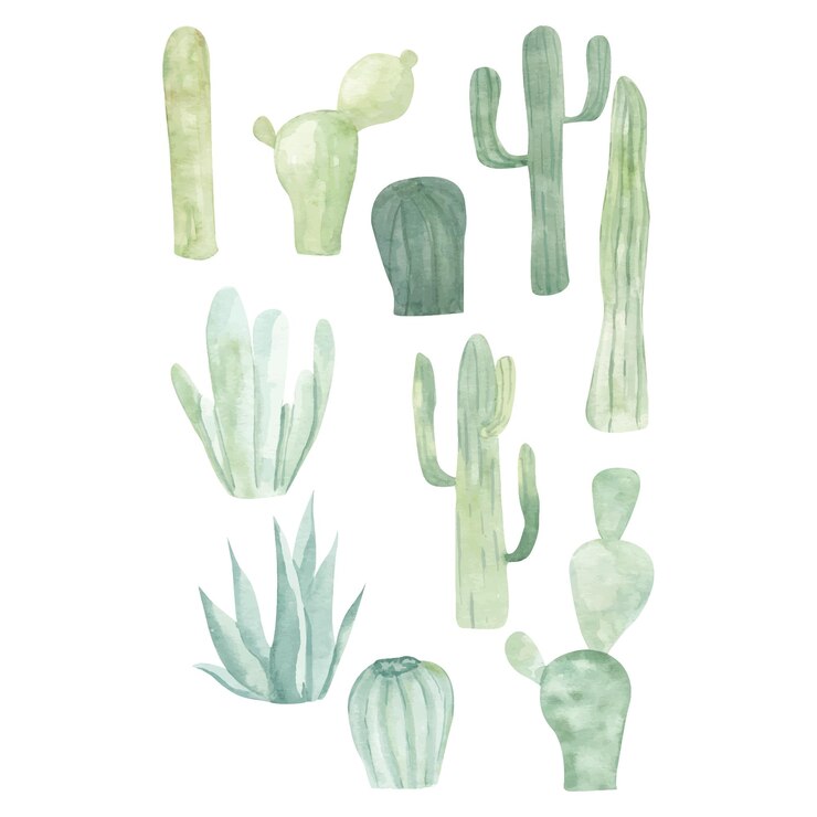Conjunto de acuarela de cactus y plantas suculentas aisladas sobre fondo blanco