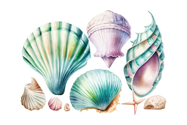 Conjunto de acuarela de conchas marinas sobre fondo blanco Diseño de ilustración vectorial