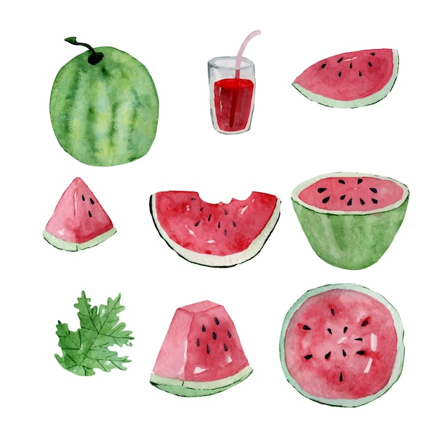 Conjunto de acuarela de elementos de sandía jugosa Colección de imágenes prediseñadas de frutas de verano