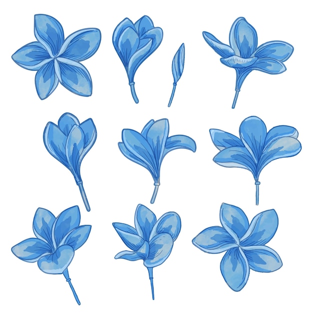 Conjunto, de, acuarela, flor, azul, flora, clipart