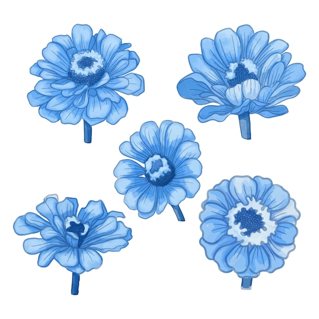 Conjunto, de, acuarela, flor, azul, flora, clipart