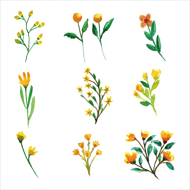 Conjunto de acuarela de flores y hojas amarillas silvestres de la temporada de primavera para la tarjeta de saludos