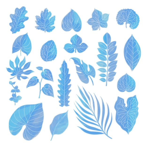 Vector conjunto, de, acuarela, hoja, azul, hojas, clipart