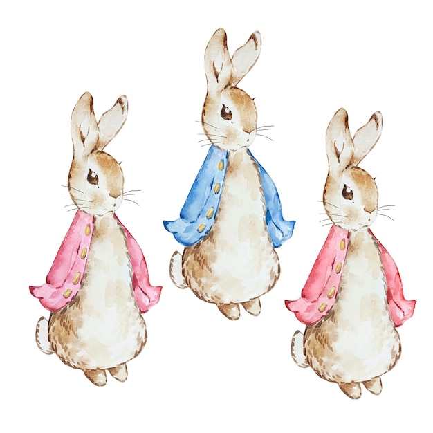 Vector conjunto de acuarela lindo peter rabbits en chaqueta roja y azul