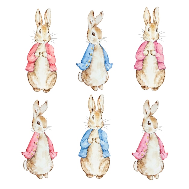 Vector conjunto de acuarela lindo peter rabbits en chaqueta roja y azul