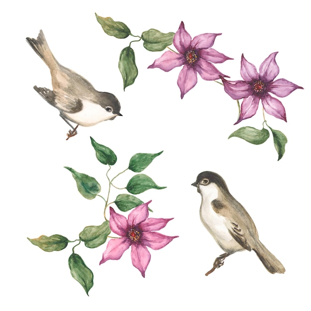 Vector conjunto de acuarela con lindos pájaros y ramitas con flores.