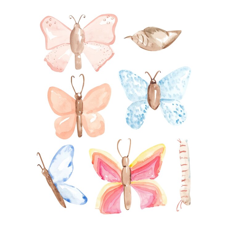 conjunto de acuarela de mariposa rosa