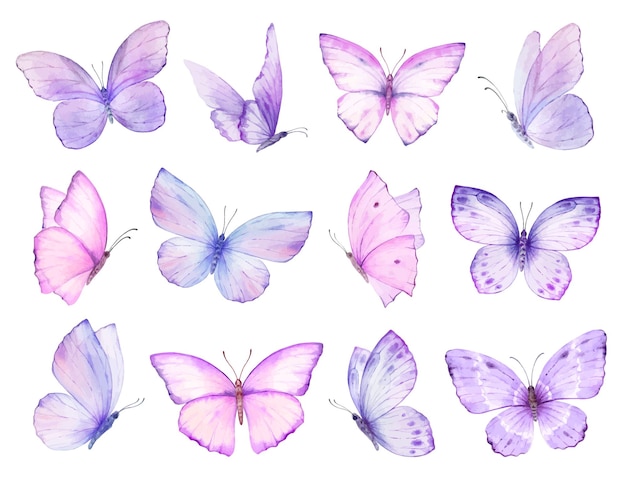 Conjunto de acuarela de mariposas pintadas a mano de vector púrpura brillante