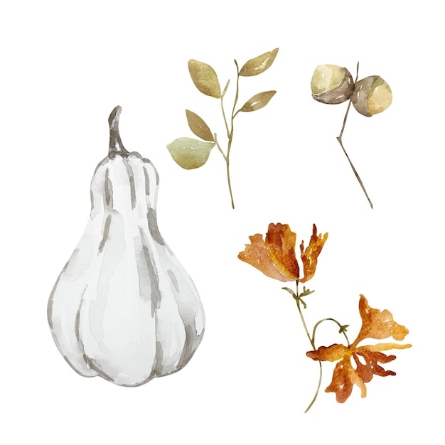 Conjunto de acuarela de otoño con calabaza y floral para diseño e impresión