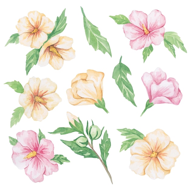conjunto de acuarela plantas y flores dibujo a mano