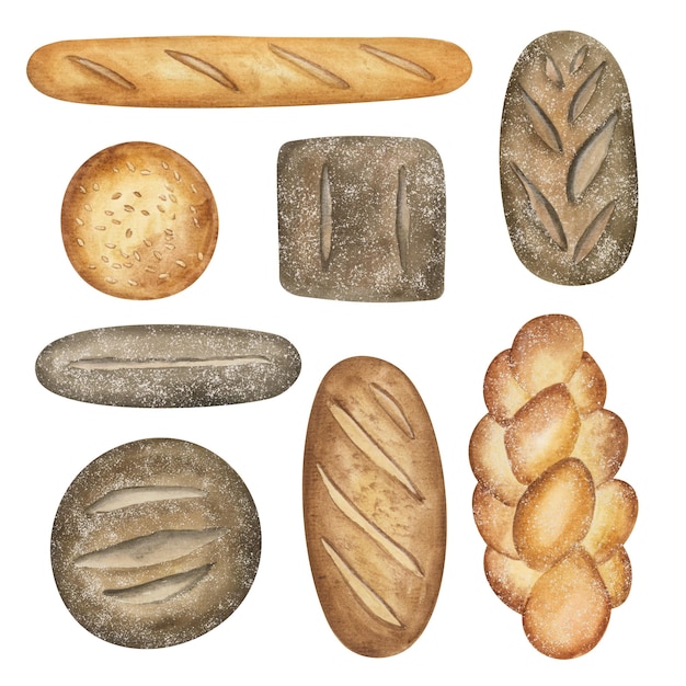 Vector conjunto de acuarela de productos de panadería bollo de pan de centeno baguette de pan blanco elementos de imágenes prediseñadas