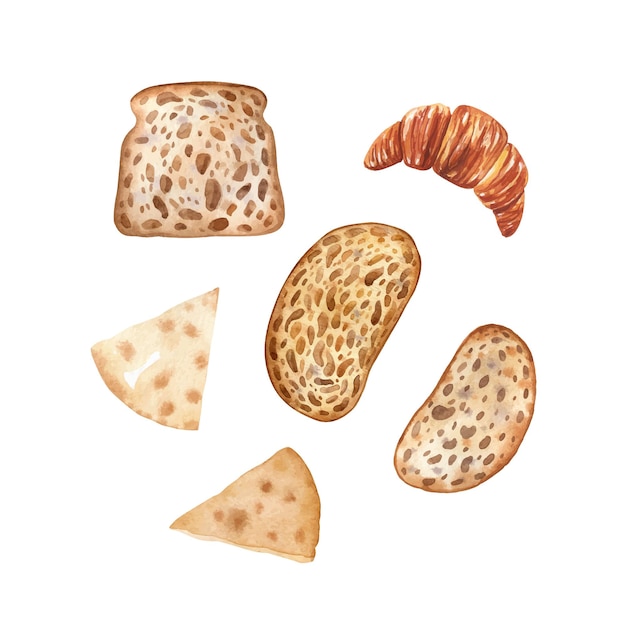 Conjunto de acuarela de rebanadas de pan Piezas de pan integral tortilla y croissant Clipart de alimentos vectoriales