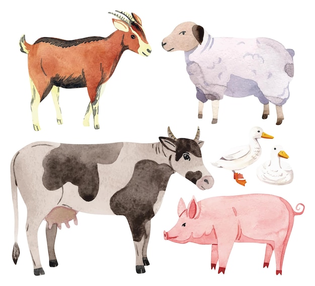Conjunto de acuarelas para animales de granja