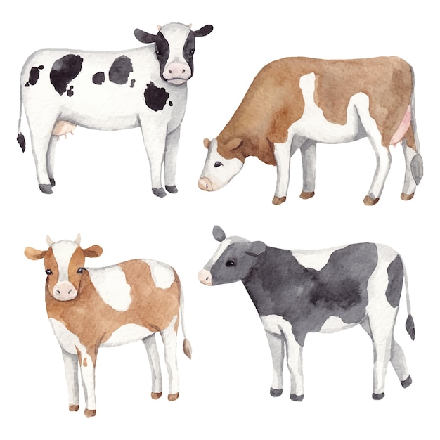 Conjunto de acuarelas dibujadas a mano de vacas