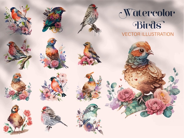 Conjunto de acuarelas pájaros y gorriones vector illustrationOn ramas decoradas con hojas y flores