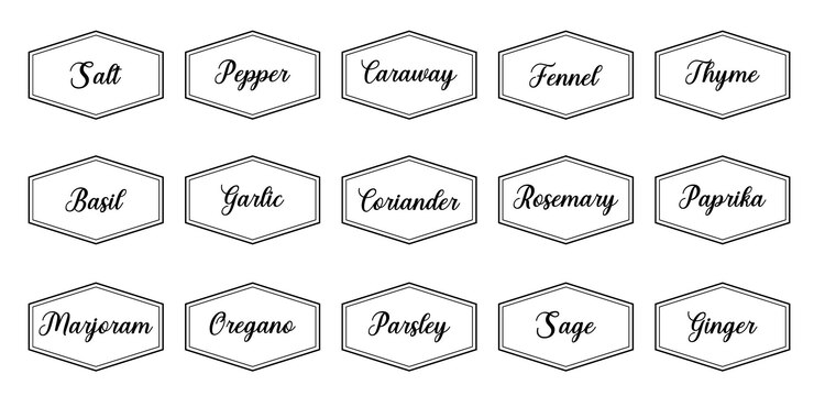 Conjunto de adhesivos de cocina vectoriales etiqueta de pimienta especia etiqueta de hierba emblema picante papel sal jengibre tomillo