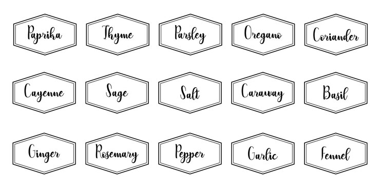 Conjunto de adhesivos de cocina vectoriales etiqueta de pimienta especia etiqueta de hierba emblema picante papel sal jengibre tomillo
