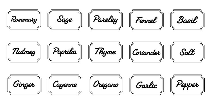 Conjunto de adhesivos de cocina vectoriales etiqueta de pimienta especia etiqueta de hierba emblema picante papel sal jengibre tomillo