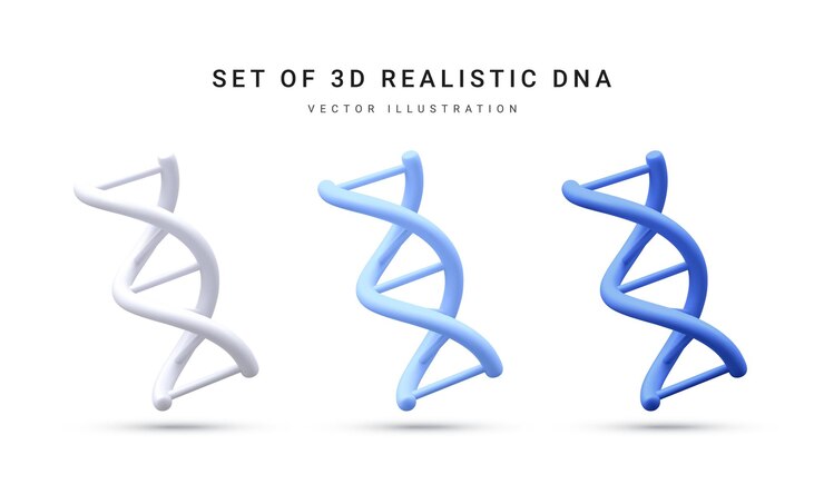 Vector conjunto de adn genético espiral médico realista 3d para química molecular física ciencia bioquímica en estilo de dibujos animados aislado en fondo blanco ilustración vectorial