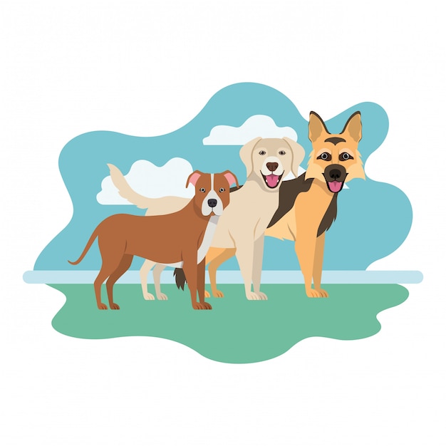 Vector conjunto de adorables perros en blanco