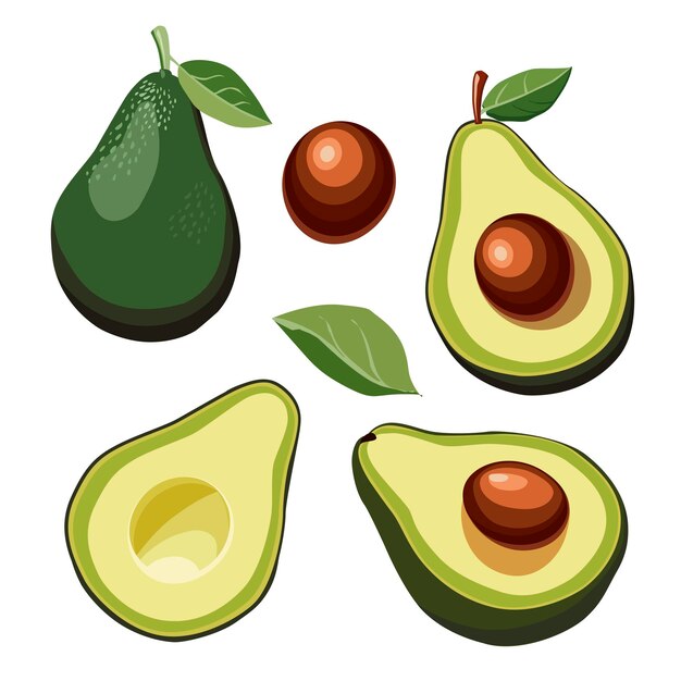 Conjunto de aguacate verde entero y cortado a mitad aislado sobre un fondo blanco Vista lateral Clipart de alimentos vectoriales