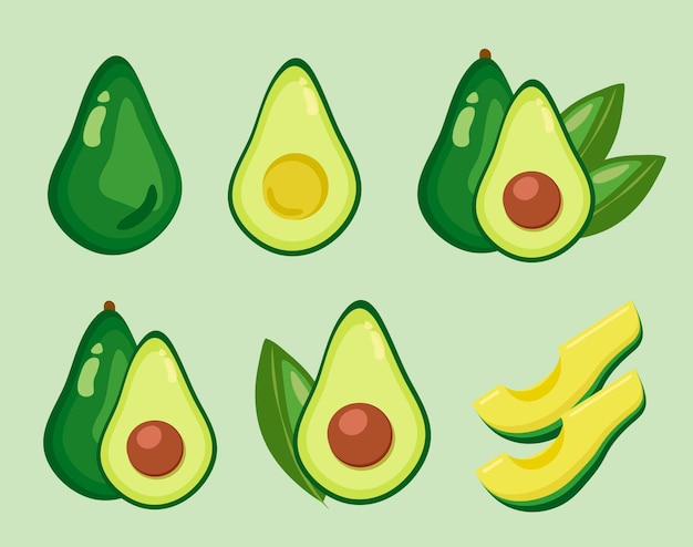 Conjunto de aguacates frescos vectoriales con hojas aisladas en el fondo Ilustración de dibujos animados lindo