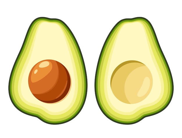 Un conjunto de aguacates sobre un fondo blanco.