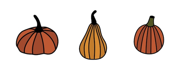 Conjunto aislado de calabazas de fideos. Elementos vectoriales para diseño, otoño, imágenes prediseñadas de Halloween