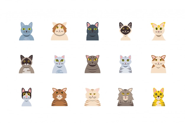 Conjunto aislado de diseño de dibujos animados de gatos lindos