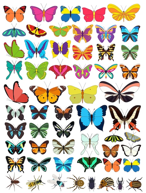 Vector conjunto aislado de mariposas e insectos.