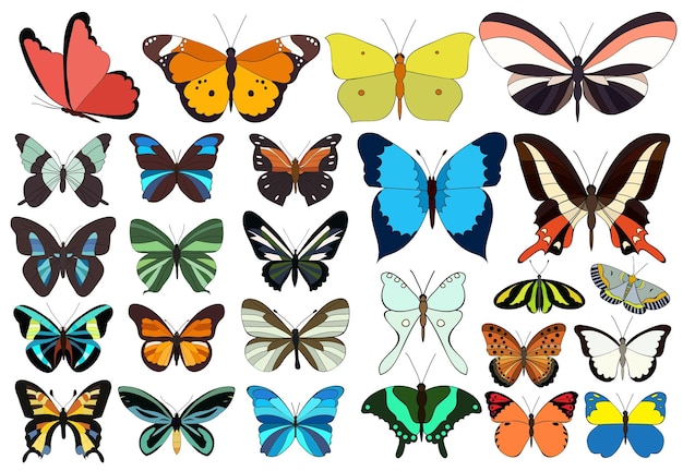 Vector conjunto aislado vectorial de hermosas mariposas multicolores