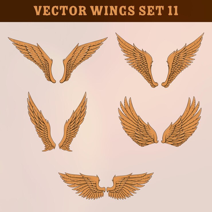 Conjunto de alas vectoriales 2