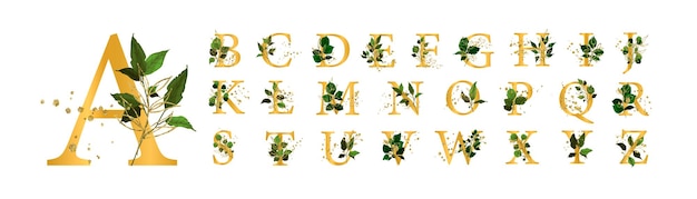 Vector conjunto de alfabeto floral dorado