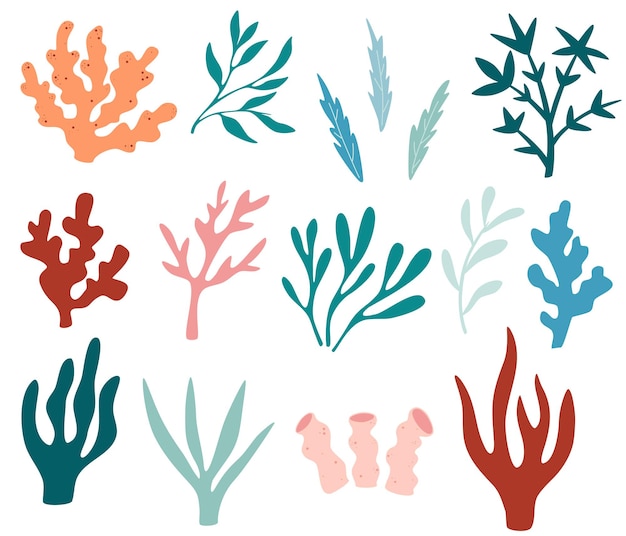 Conjunto de algas. colección de siluetas de algas marinas, plantación, algas marinas y corales oceánicos. plantas submarinas para decoración de acuarios. naturaleza marina de algas. elementos marinos brillantes. ilustración vectorial.