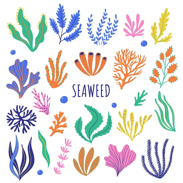 Conjunto de algas marinas y corales de colores Ilustración de dibujos animados vectoriales de plantas de acuario de algas marinas
