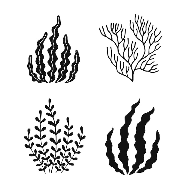 Conjunto de algas marinas Plantas marinas están aisladas Ilustración dibujada a mano convertida en vector