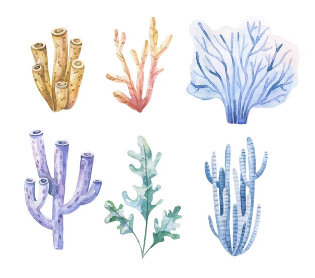 Conjunto de algas Plantas submarinas Ilustración de acuarela Océano Mar Algas algas elemento de diseño de arrecife de coral Siluetas de plantas de acuario