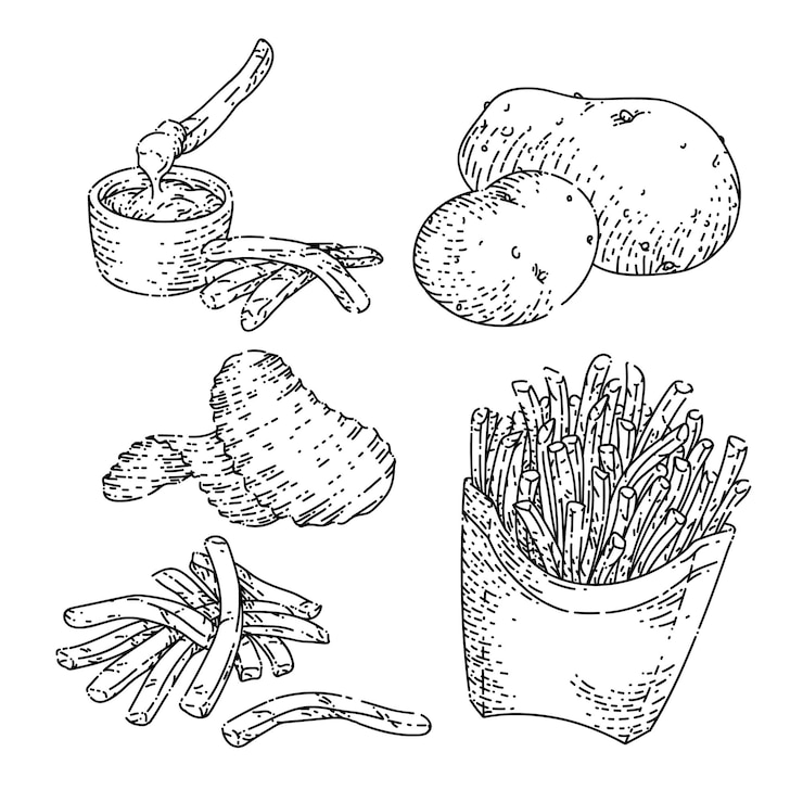 Vector conjunto de alimentos de patata croquis vector dibujado a mano