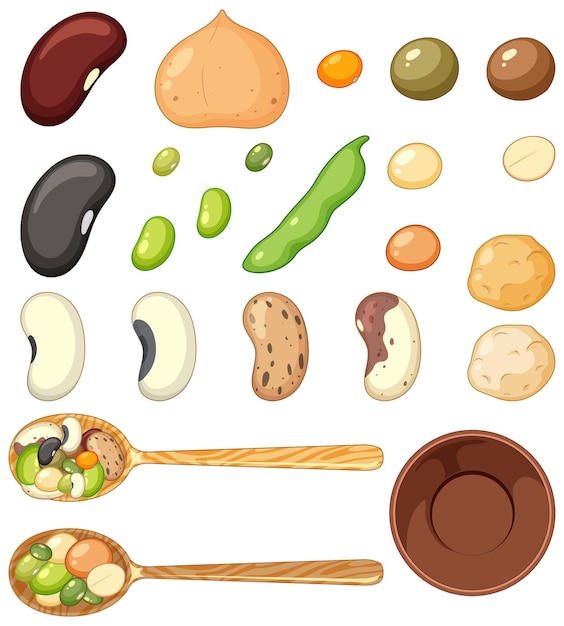 Vector conjunto de alimentos saludables de granos y nueces.